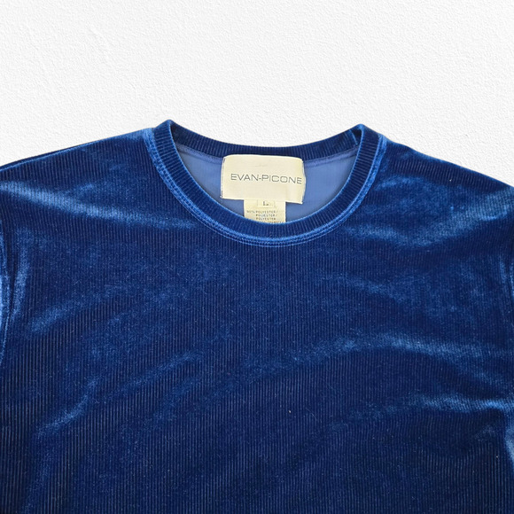 1990s Vintage Evan Picone Blue Ribbed Velvet Long Sleeve Y2K Glam Top Size Large - Picture 2 of 5